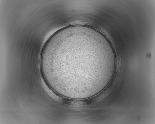 X0000112740795200909101514