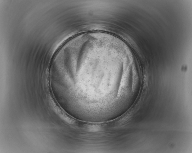 X0000112740798200909101514