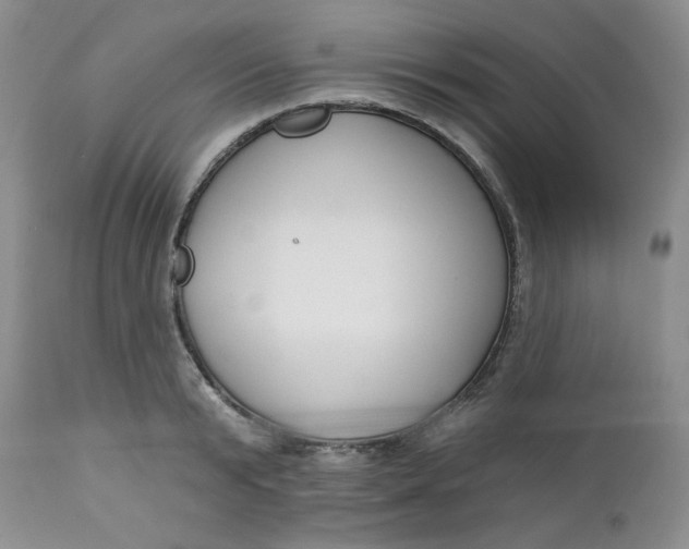 X0000112740799200909101514