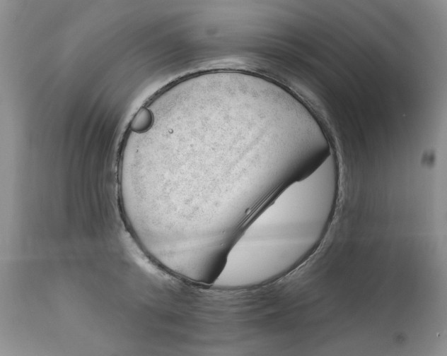 X0000112740800200909101514