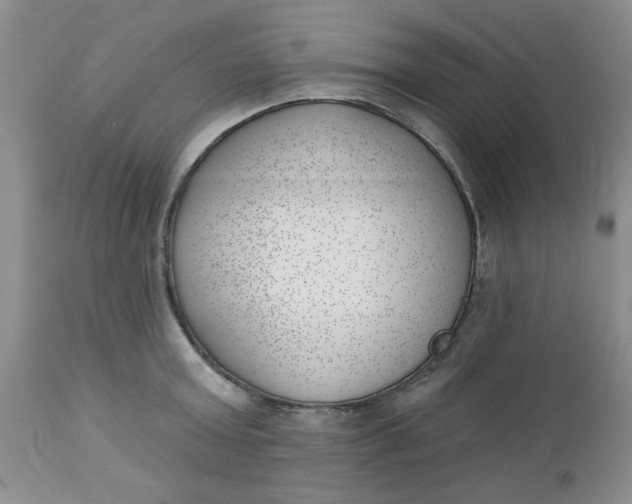 X0000112740803200909101514