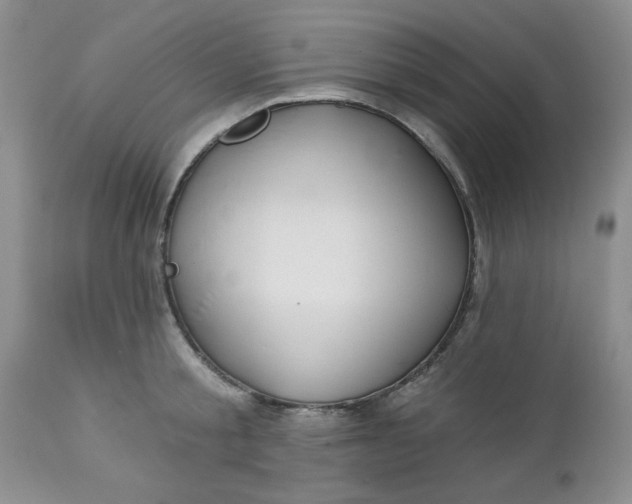 X0000112740805200909101514