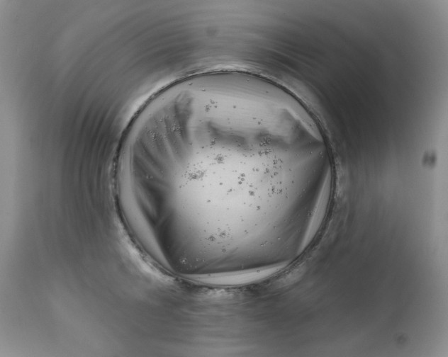 X0000112740806200909101514