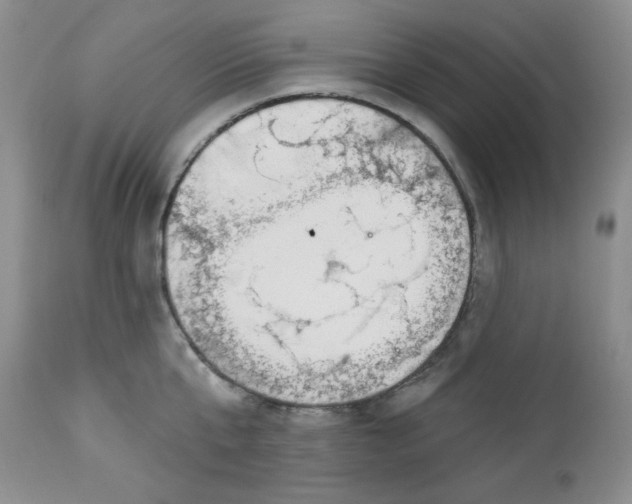 X0000112740807200909101514