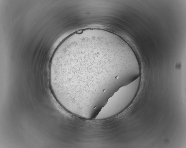 X0000112740808200909101514