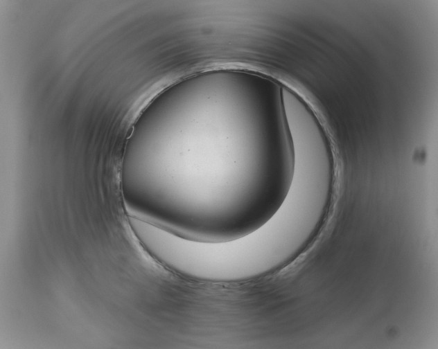 X0000112740809200909101514