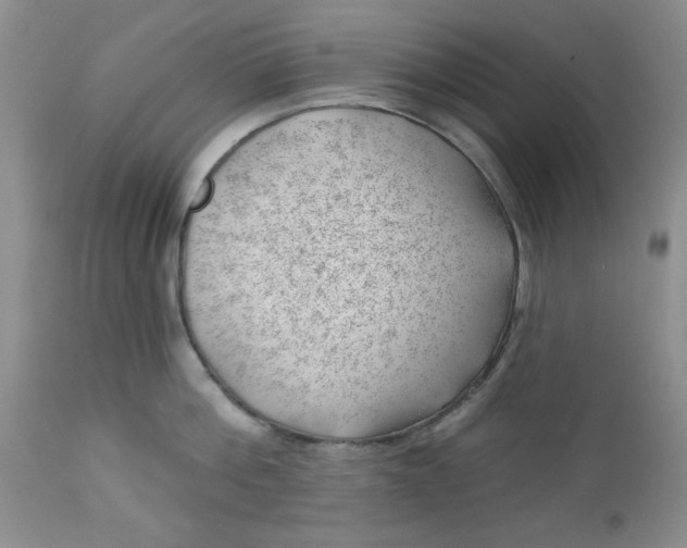 X0000112740812200909101514