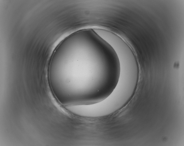 X0000112740813200909101514