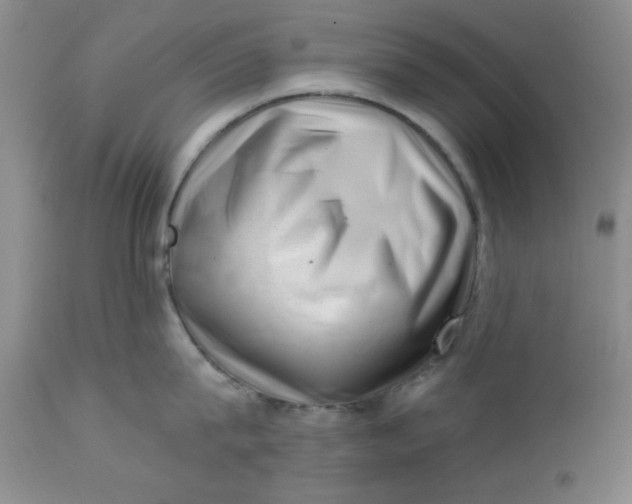 X0000112740815200909101514