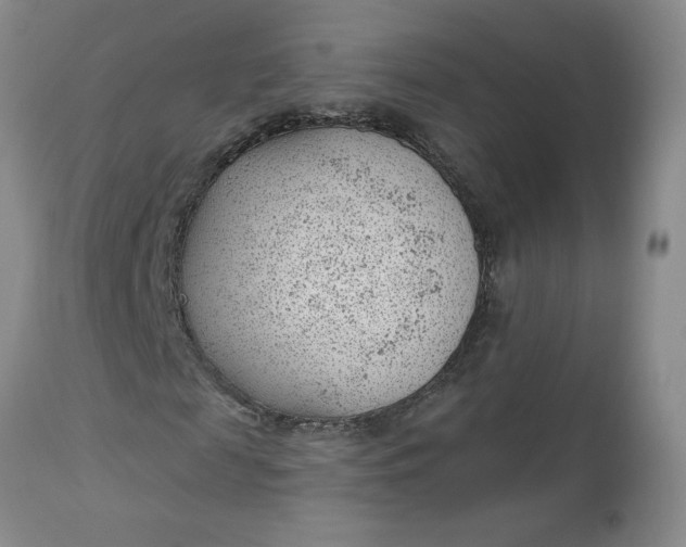 X0000112740817200909101513