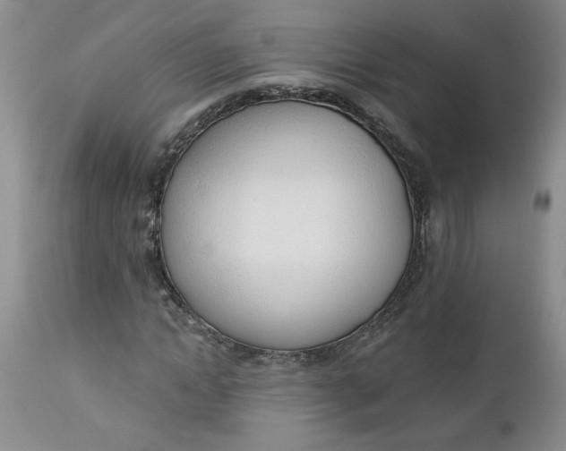 X0000112740822200909101513