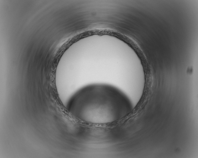 X0000112740823200909101513