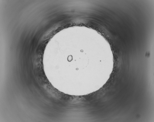 X0000112740824200909101513