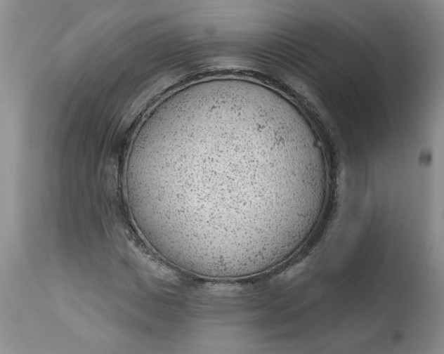 X0000112740825200909101513