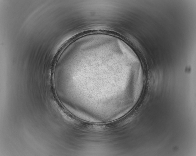 X0000112740831200909101513