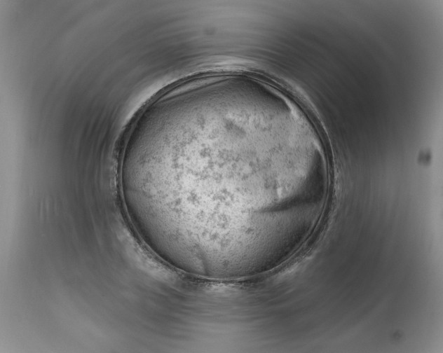 X0000112740835200909101513