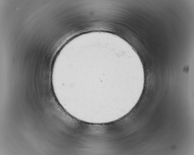 X0000112740836200909101514