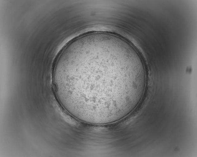 X0000112740837200909101514