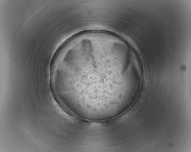 X0000112740839200909101514