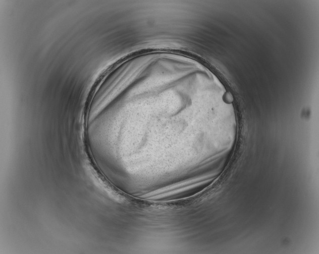 X0000112740840200909101514