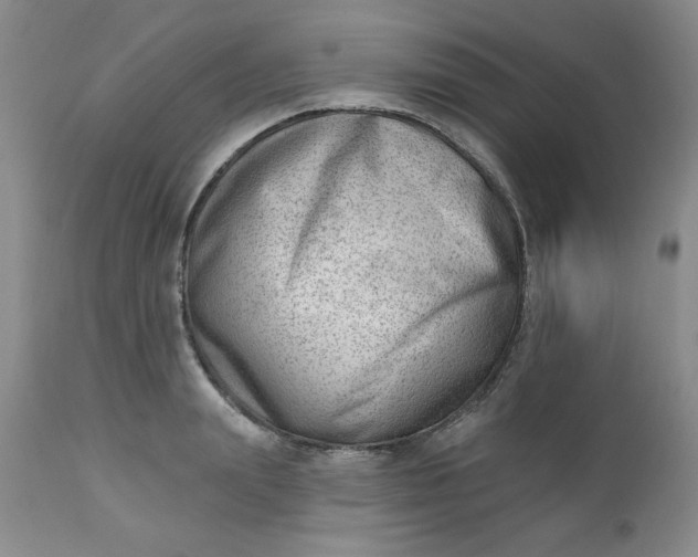 X0000112740847200909101514