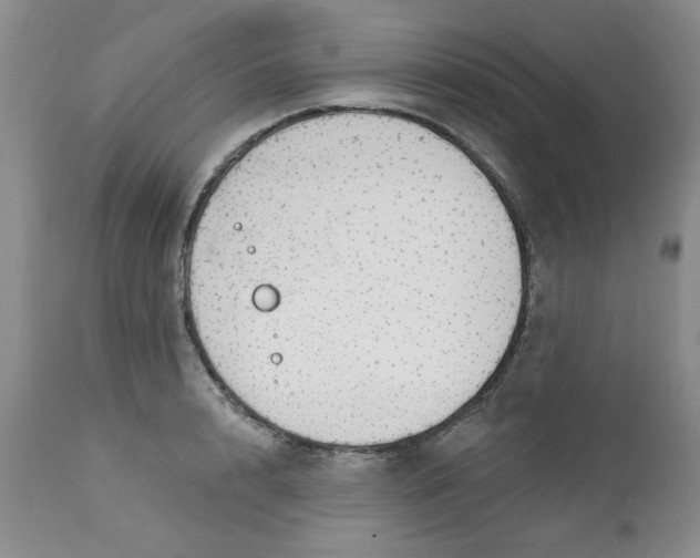 X0000112740848200909101514