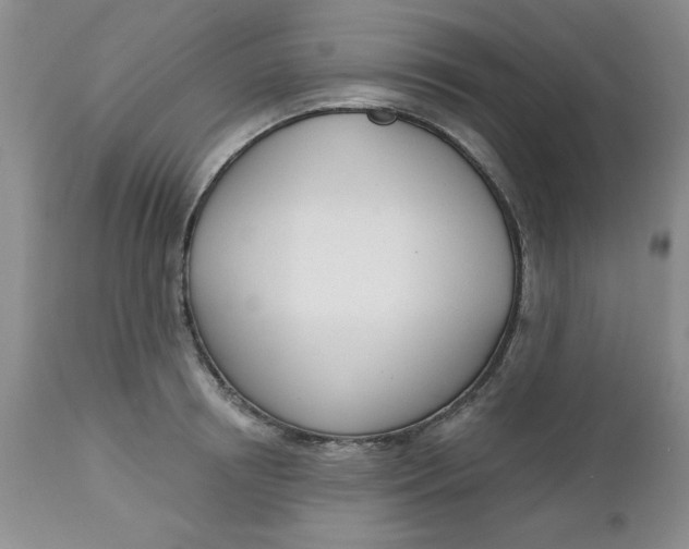 X0000112740850200909101514