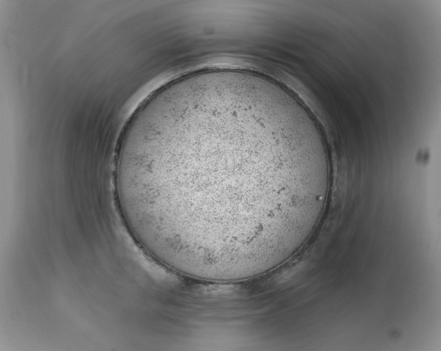 X0000112740853200909101514