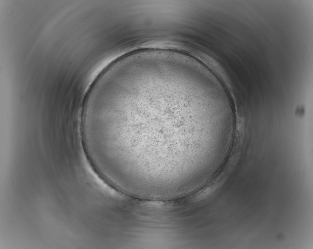 X0000112740855200909101514