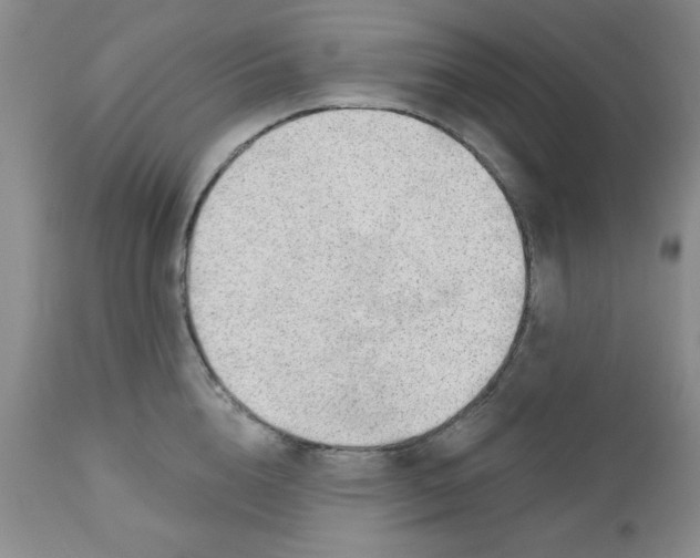 X0000112740856200909101514