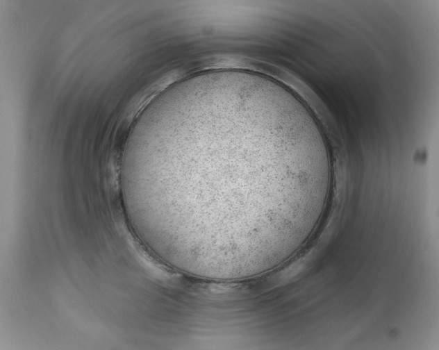 X0000112740857200909101514