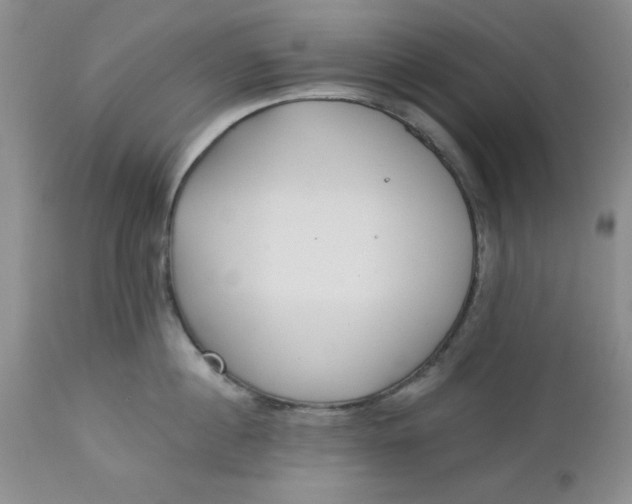 X0000112740860200909101514