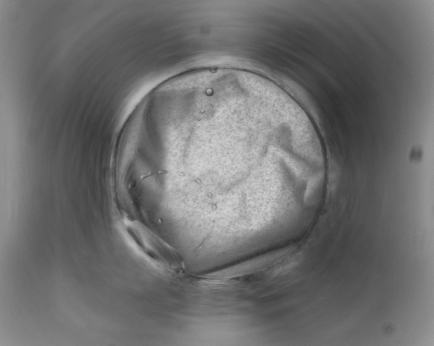 X0000112740863200909101514