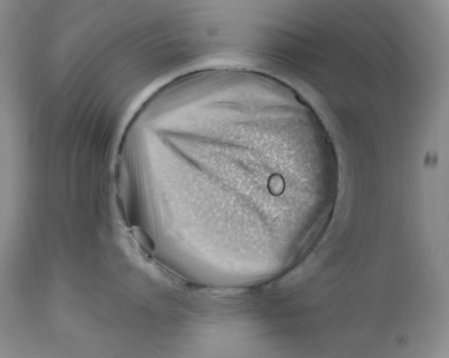 X0000112740864200909101514