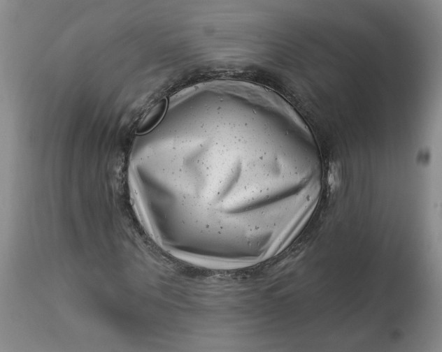 X0000112740867200909101513