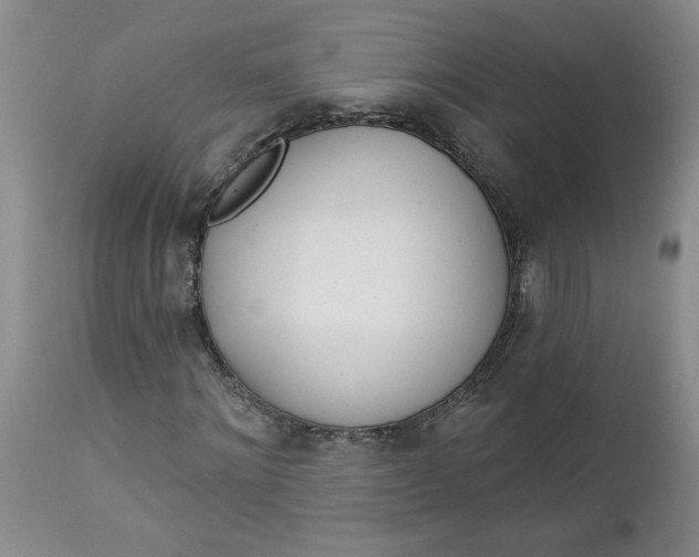 X0000112740868200909101513