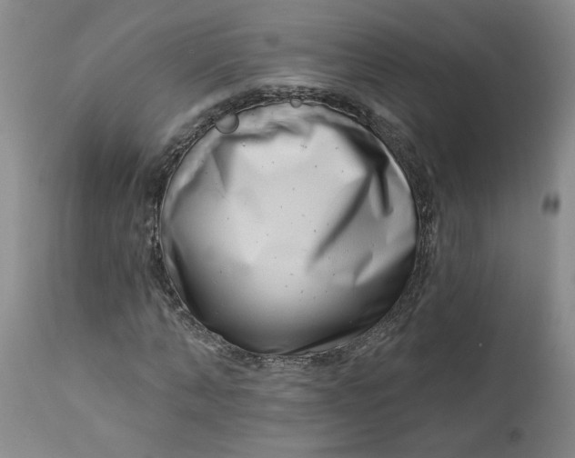 X0000112740870200909101513