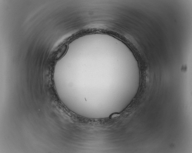 X0000112740872200909101513