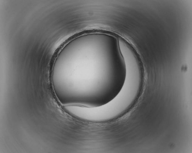 X0000112740877200909101513