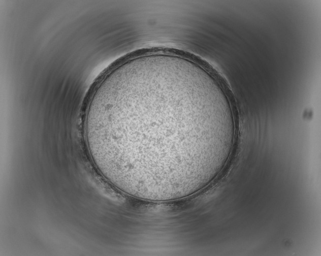 X0000112740879200909101513