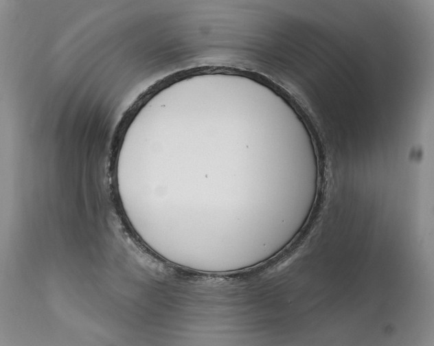 X0000112740880200909101513