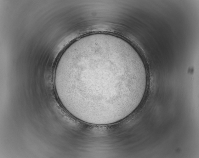 X0000112740882200909101513