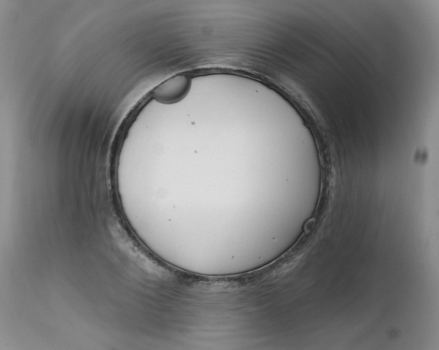 X0000112740884200909101513