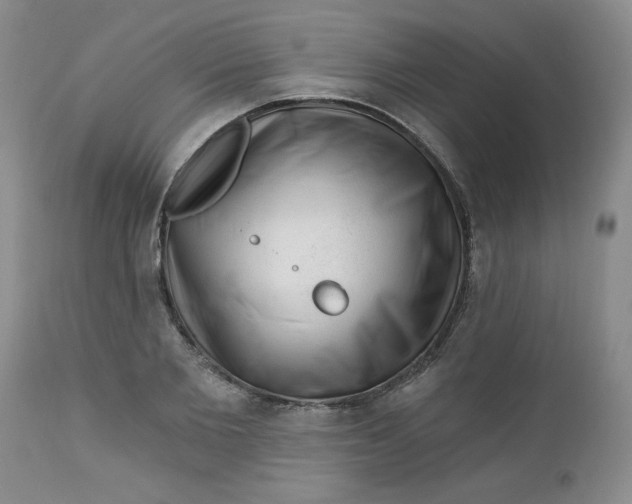 X0000112740885200909101513