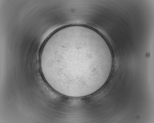 X0000112740886200909101513