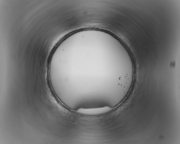 X0000112740888200909101513