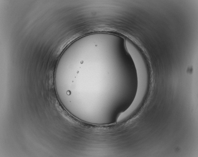 X0000112740889200909101513