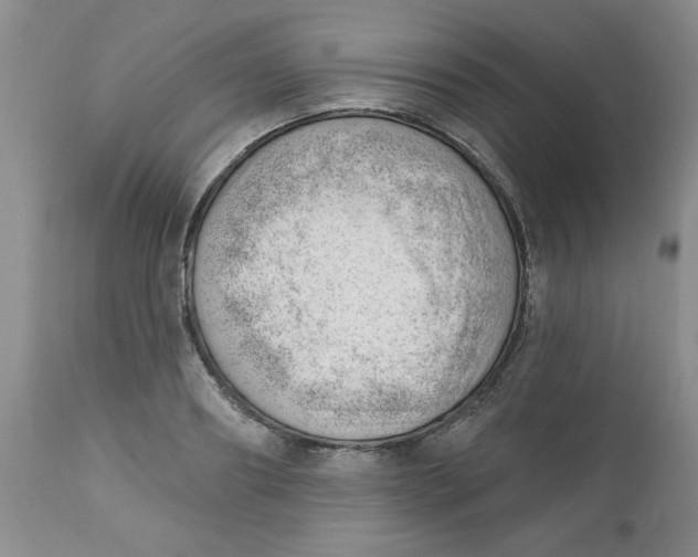 X0000112740890200909101513