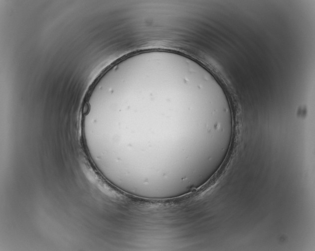 X0000112740892200909101513