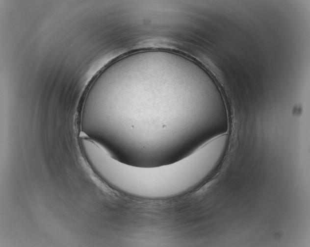 X0000112740893200909101513